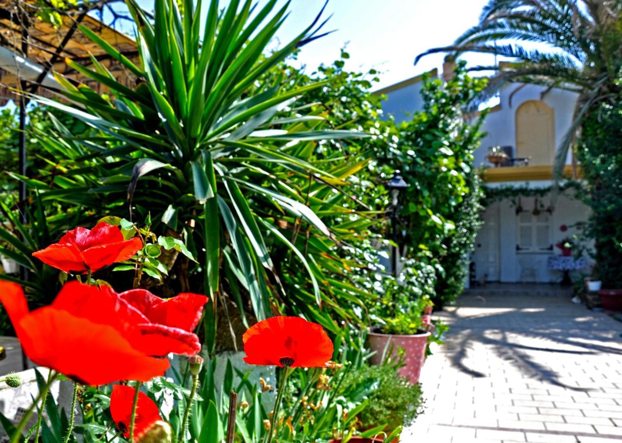 Villa Elena Studios 达西亚 外观 照片